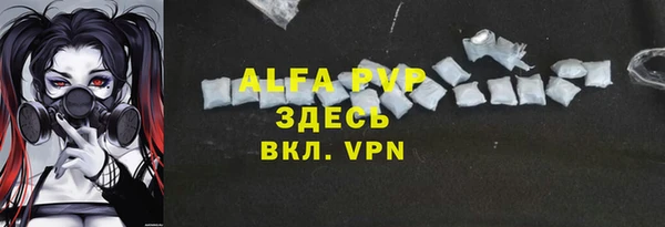 мет Алексин