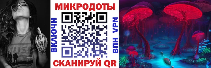 что такое   Гусь-Хрустальный  Галлюциногенные грибы MAGIC MUSHROOMS 