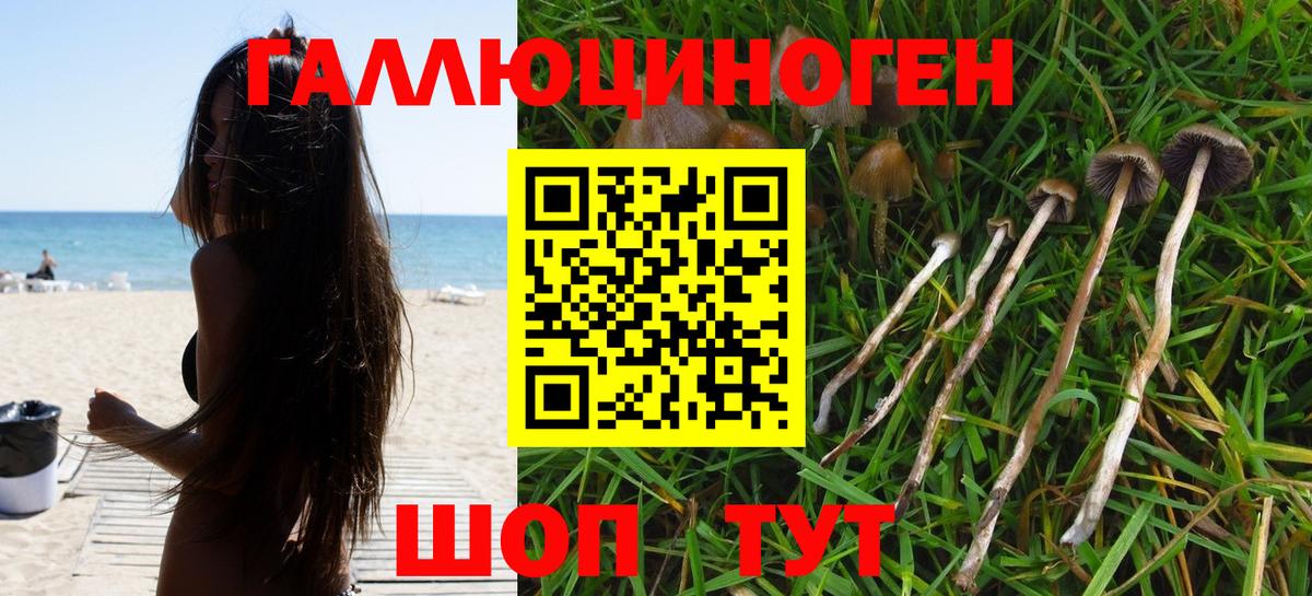 Гусь-Хрустальный  Псилоцибиновые грибы мухоморы  Вход с VPN 
